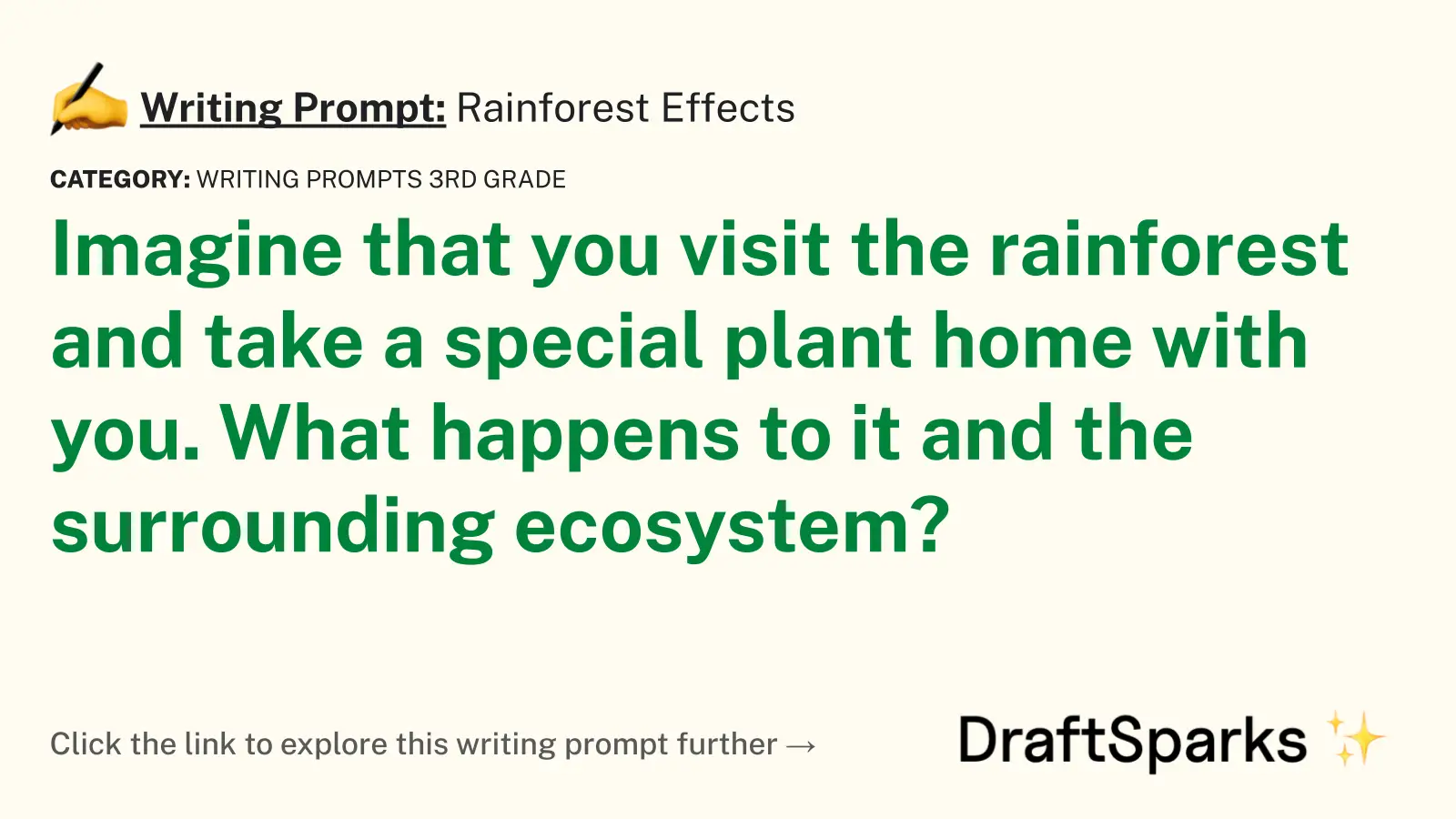 Rainforest Effects