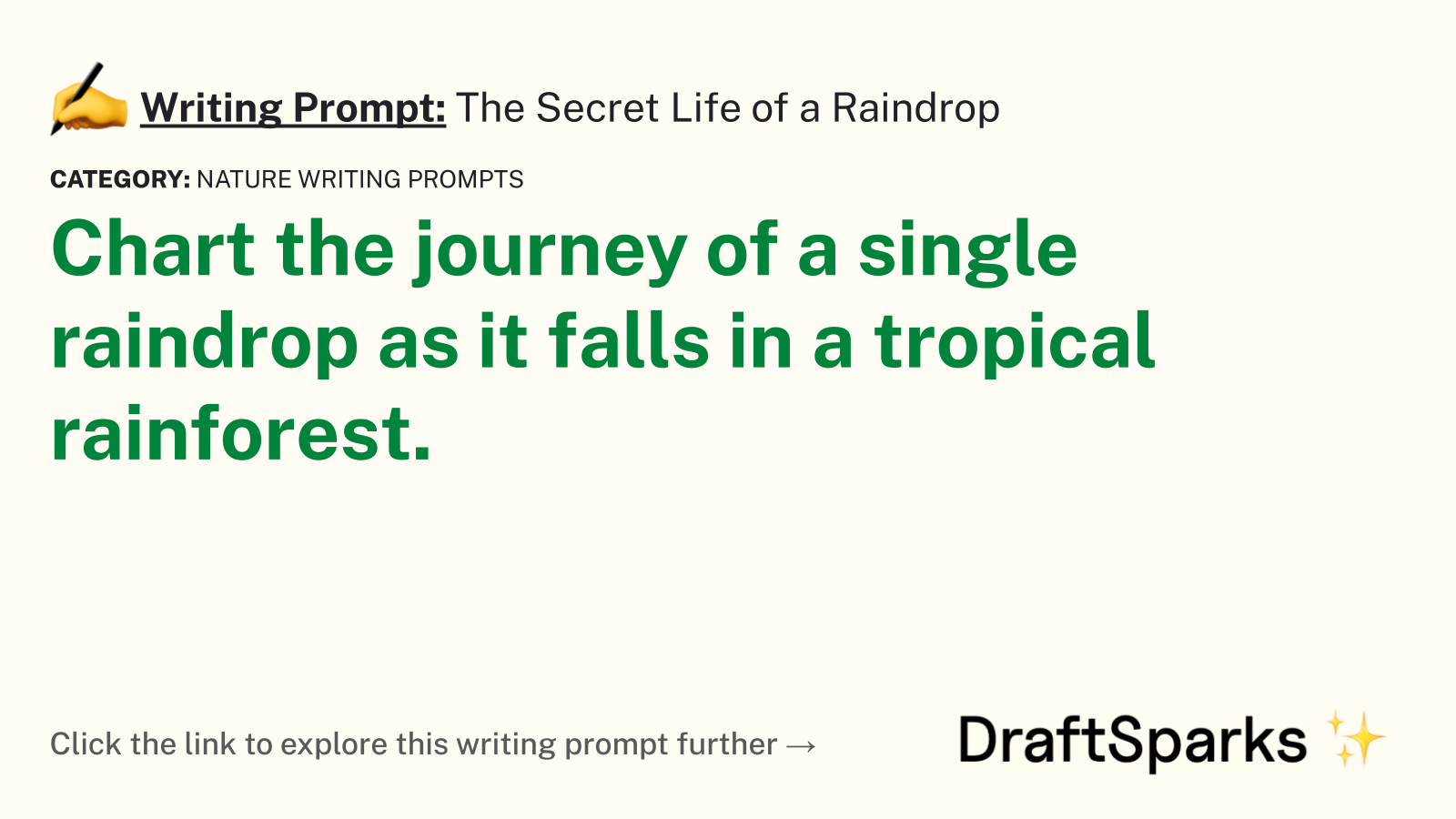 The Secret Life of a Raindrop