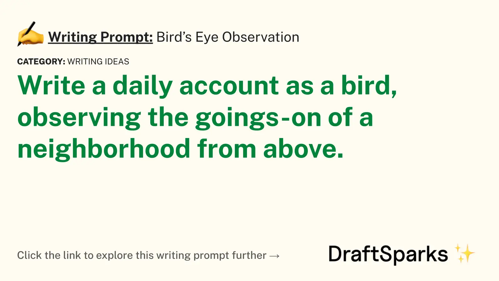 Bird’s Eye Observation
