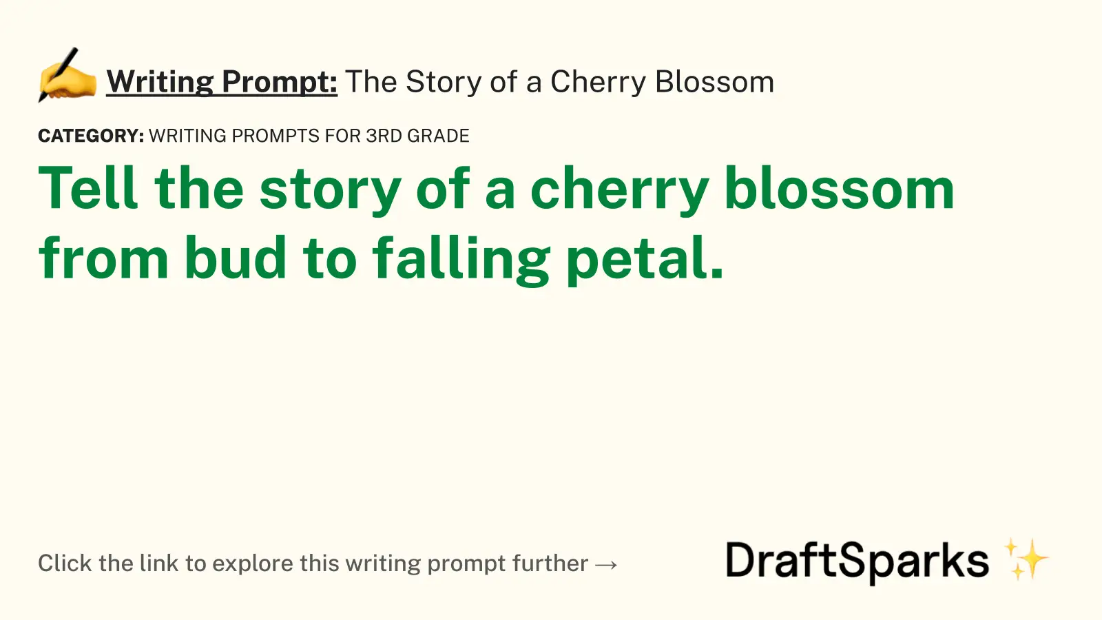The Story of a Cherry Blossom