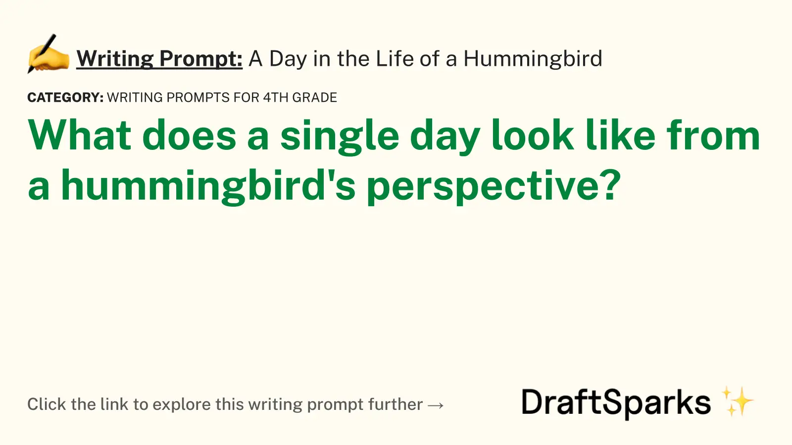 A Day in the Life of a Hummingbird