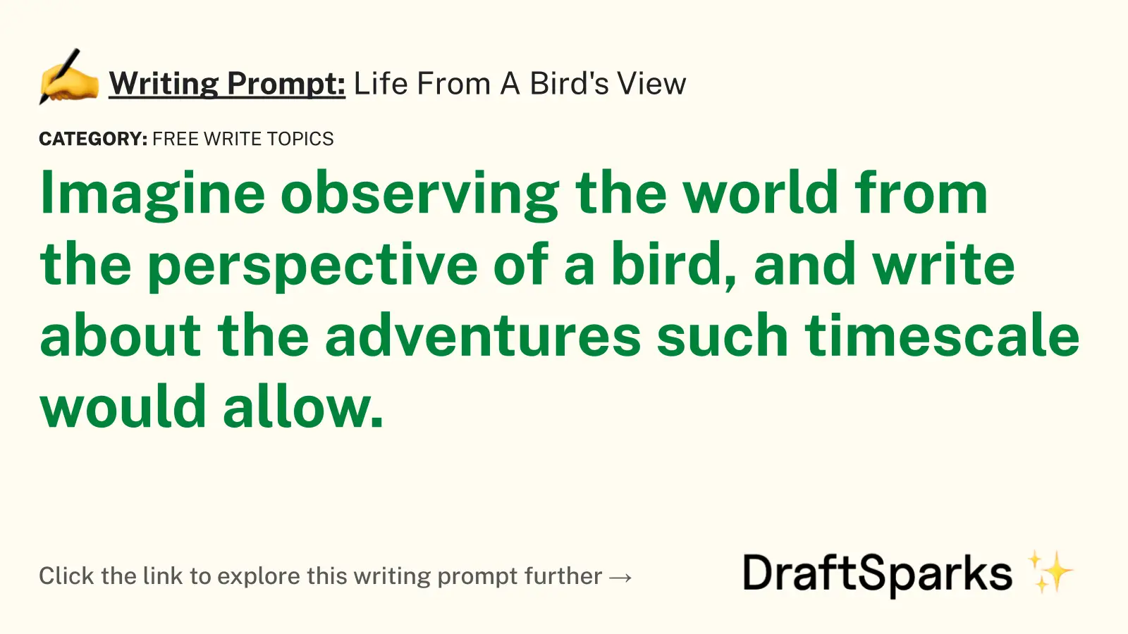 Life From A Bird’s View
